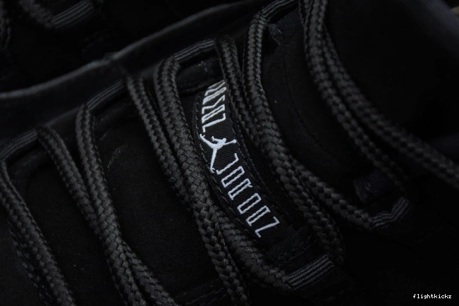 Air Jordan 11 Low 